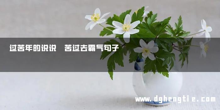 过苦年的说说 苦过去霸气句子